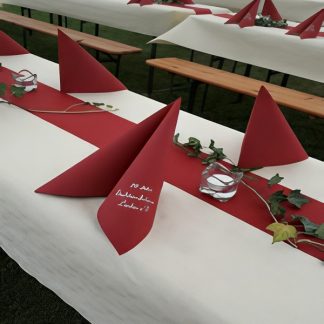 DUNI DUNICEL-Tischband Linnea