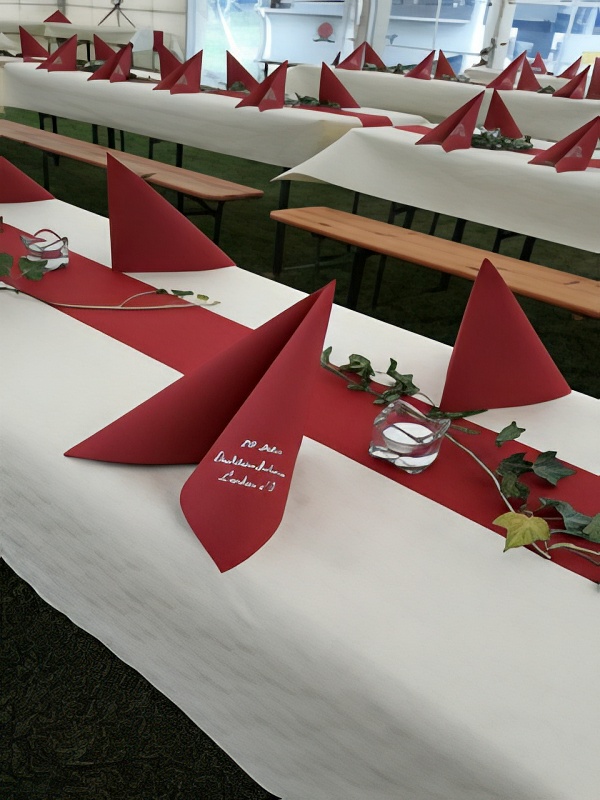 DUNI DUNICEL-Tischband Linnea